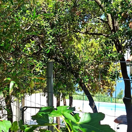 Villa Kuca Domina Ducac, Postira
